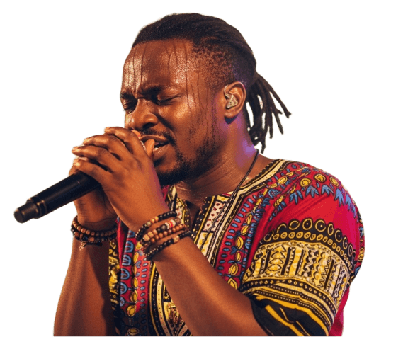 Artist performing